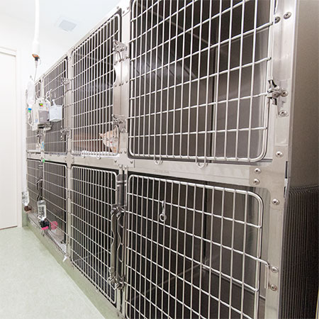 犬専用入院室・猫専用入院室